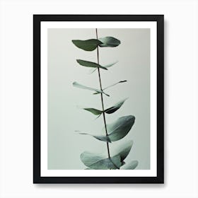 Eucalyptus Greenery in Art Print