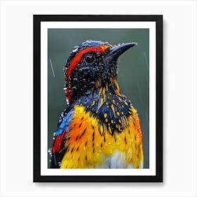 Colorful Bird In The Rain Art Print