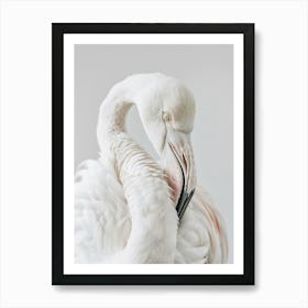 Close Up Of A Flamingo Art Print