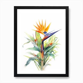 Beehive With Bird Of Paradise Flower Watercolour Illustration 3 Art Print
