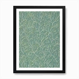 Baldcypress tree Vintage Botanical Art Print