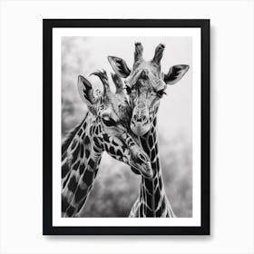 Two Giraffe Together Pencil Drawing 1 Art Print