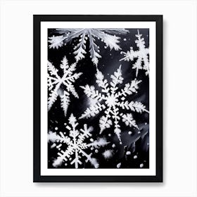 Ice, Snowflakes, Black & White 1 Art Print