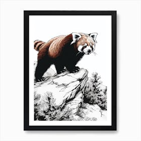 Red Panda Walking On A Mountain Ink Illustration 3 Art Print