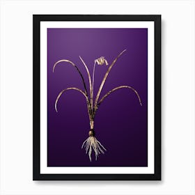Gold Botanical Brimeura on Royal Purple n.4772 Art Print