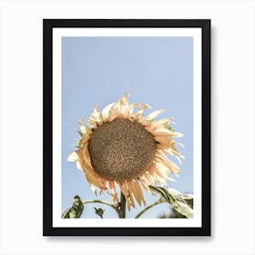 Sunny Bloom Art Print