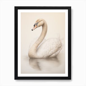 Vintage Bird Drawing Swan 3 Art Print