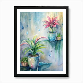 Raindrops On Potted Plants Art Print