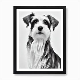 Silky Terrier B&W Pencil Dog Art Print