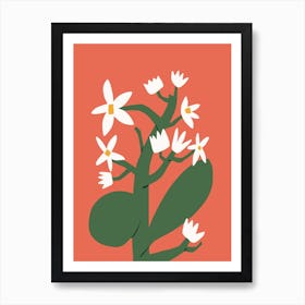 White Blossom In Red Art Print