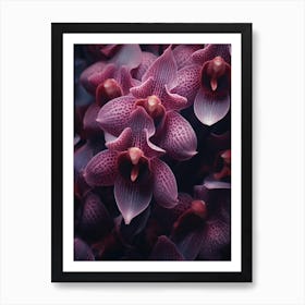 Macro Orchids 1 Art Print