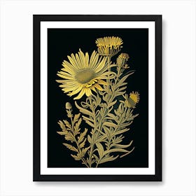 Golden Aster Wildflower Vintage Botanical 1 Art Print