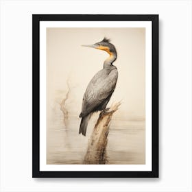 Vintage Bird Drawing Cormorant 3 Art Print