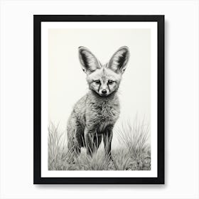 Bat Eared Fox In A Field Pencil Drawing 6 Art Print