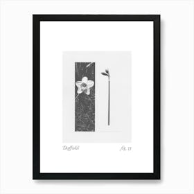 Daffodil Botanical Collage 3 Art Print