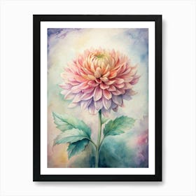 Dahlia 7 Art Print