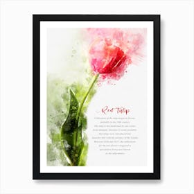 Red Tulip 1 Poster