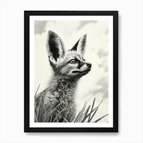 Bat Eared Fox Looking At The Sky Pencil Drawing 4 Art Print