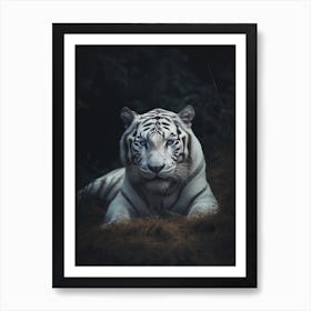 White Tiger 1 Art Print