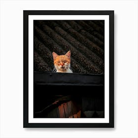 Cat On Roof Art Print