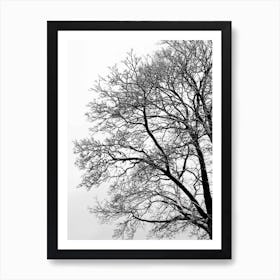 Black And White Abstract Winter Tree Art Print