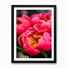 Peonies II  Art Print