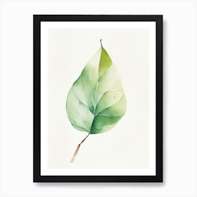 Pear Leaf Minimalist Watercolour 2 Art Print