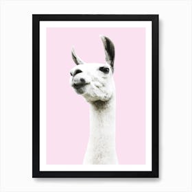 Pink Llama Art Print