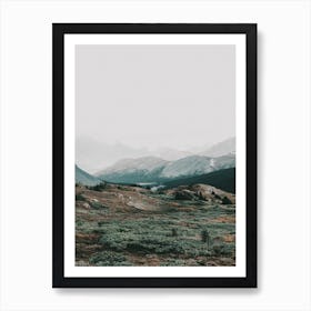 Mountain Meadow Art Print