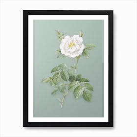 Vintage White Rose Botanical Art on Mint Green n.0551 Art Print