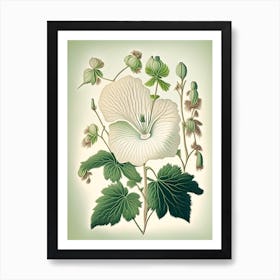 Marsh Mallow Wildflower Vintage Botanical 2 Art Print
