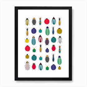 Bug Collection Art Print