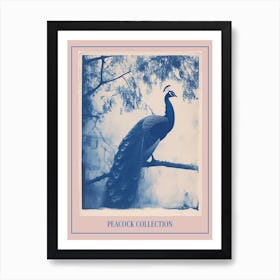 Peacock In The Tree Cyanotype Inspired 6 Poster Art Print