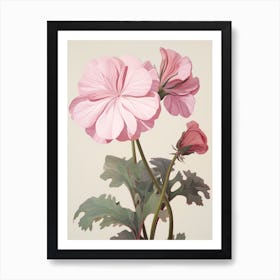 Floral Illustration Geranium 1 Art Print