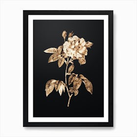 Gold Botanical French Rosebush with Variegated Flowers on Wrought Iron Black n.0517 Art Print