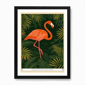 Greater Flamingo Everglades National Park Florida Tropical Illustration 2 Poster Art Print