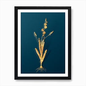 Vintage Ixia Scillaris Botanical in Gold on Teal Blue n.0058 Art Print