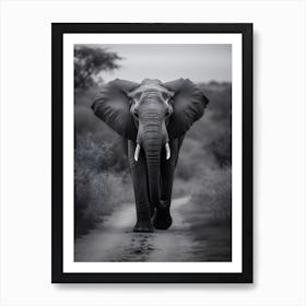 Elephant In The Wild 2 Art Print