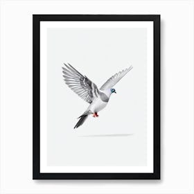 Pigeon B&W Pencil Drawing 2 Bird Art Print