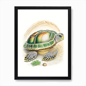 Hatching Sea Turtle, Sea Turtle Vintage 1 Art Print