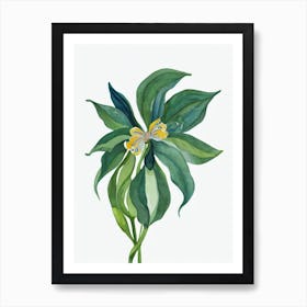 African Violet (Saintpaulia) Watercolor Art Print