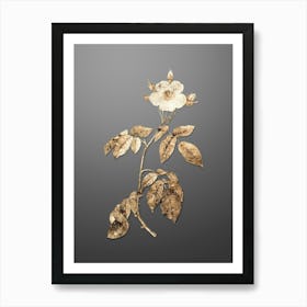 Gold Botanical Big Leaved Climbing Rose on Soft Gray n.3818 Art Print