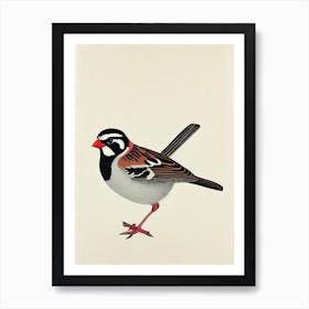 Sparrow Illustration Bird Art Print