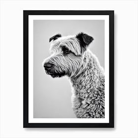 Bouvier Des Flandres B&W Pencil Dog Art Print