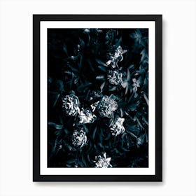 Florals Afterdark Art Print