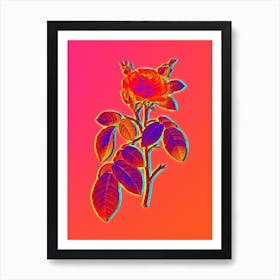 Neon Red Gallic Rose Botanical in Hot Pink and Electric Blue n.0525 Art Print