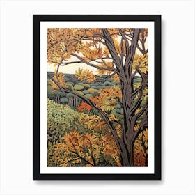 Black Locust 2 Vintage Autumn Tree Print  Art Print