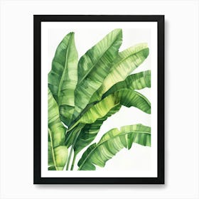 Watercolor Banana Leaves Art Print