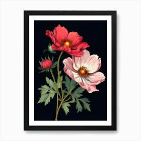 Red And White Anemones Art Print