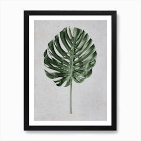 Tropical Monstera Deliciosa Leaf Art Print